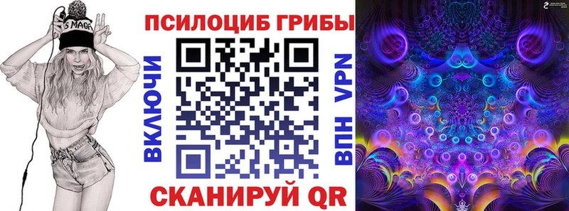 Псилоцибиновые грибы Magic Shrooms  где найти наркотики  Белый 